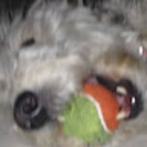 Meet your Posher, Casey